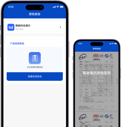 质检报告在线查看功能示例图